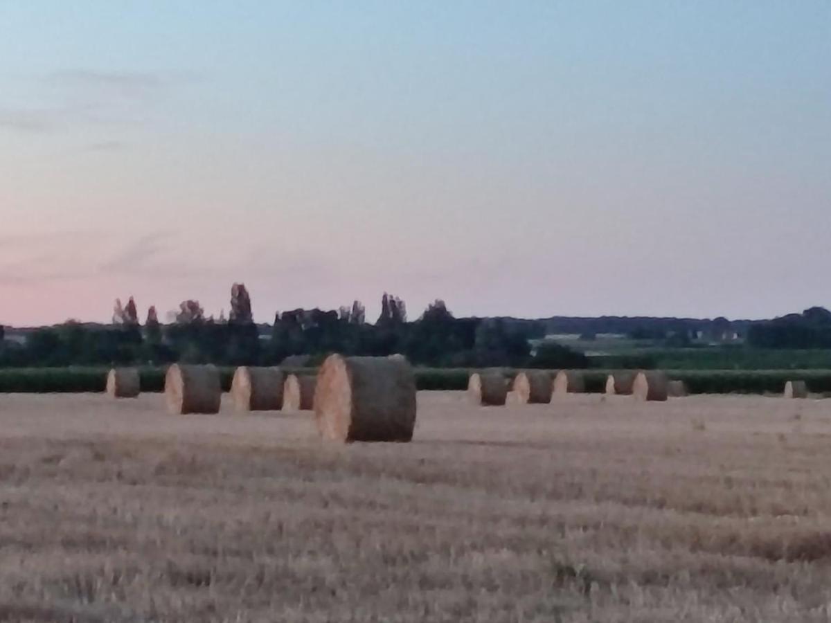 Gite Chez Jeannot Azay-le-Ferron 外观 照片
